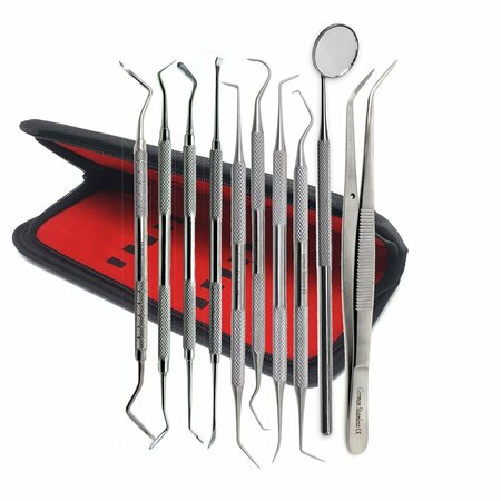A2Z SCILAB 10 Pcs Dental Picks Oral Cleaning Kit Stainless Steel Tools in a Case A2Z-ZR-KIT-120
